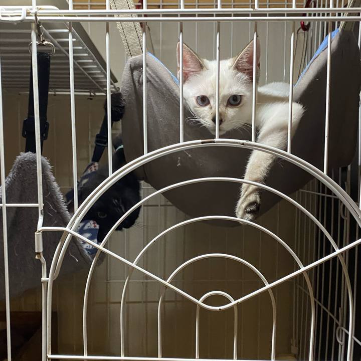 47ca456a 0b91 45e8 8d58 eace35dcefb8 1629539581974