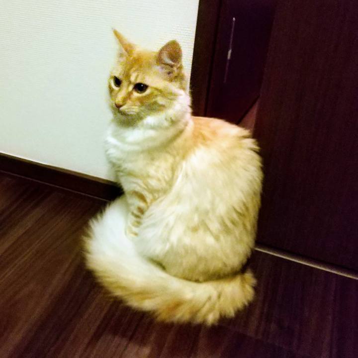 47ca64db 7ebd 4d0e b048 5993d50964ad 1616757735841