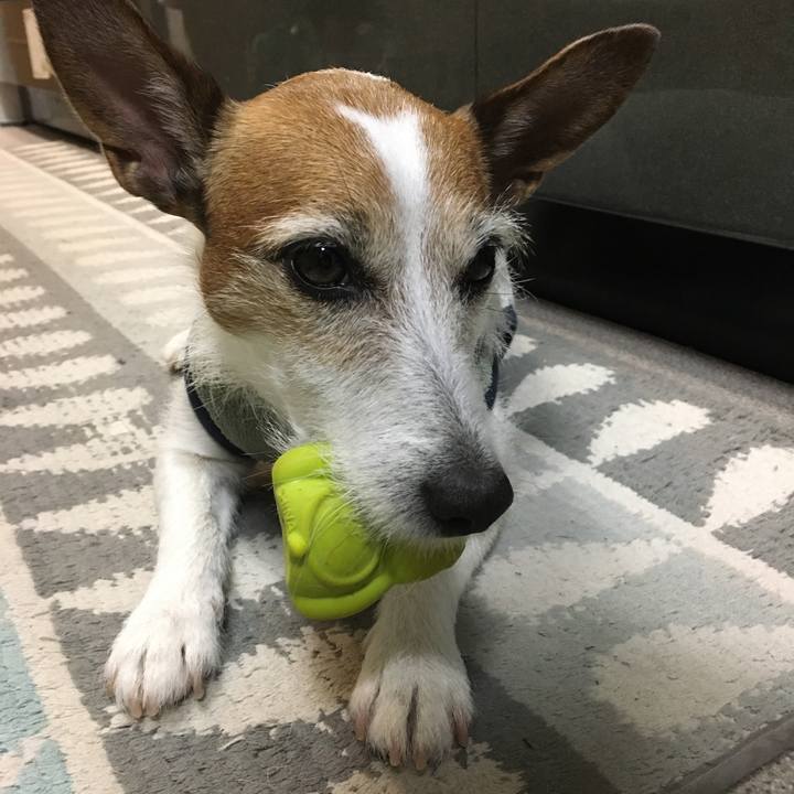 47ca8121 9e0e 438e ad6e 90fc7da9bcec 1611876382374