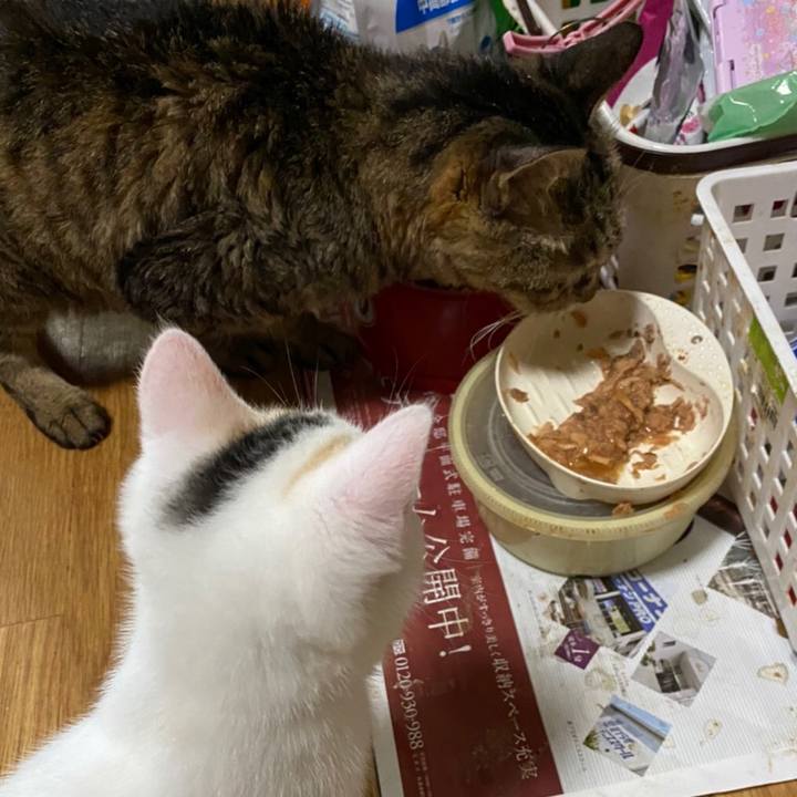 47ca8253 d11b 4ae4 9252 6226ebe2b6cc 1593926268517