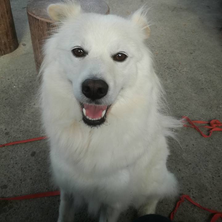 47caf7ab b6c4 4b11 8512 02b11265e16c 1525135108948