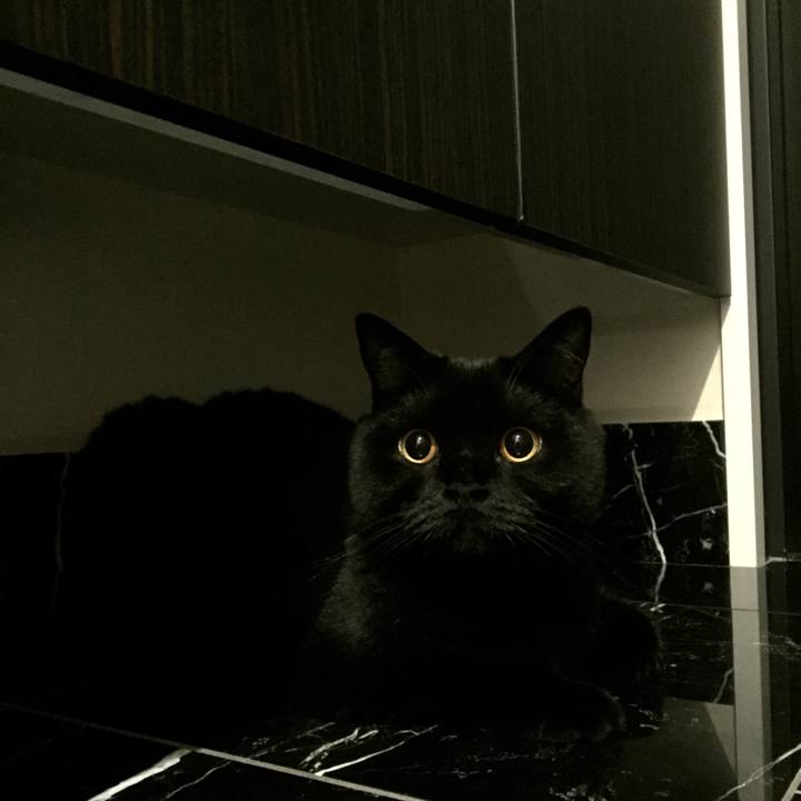 47cb3314 089e 4dc1 a332 f5f2bae612c4 1531218157915