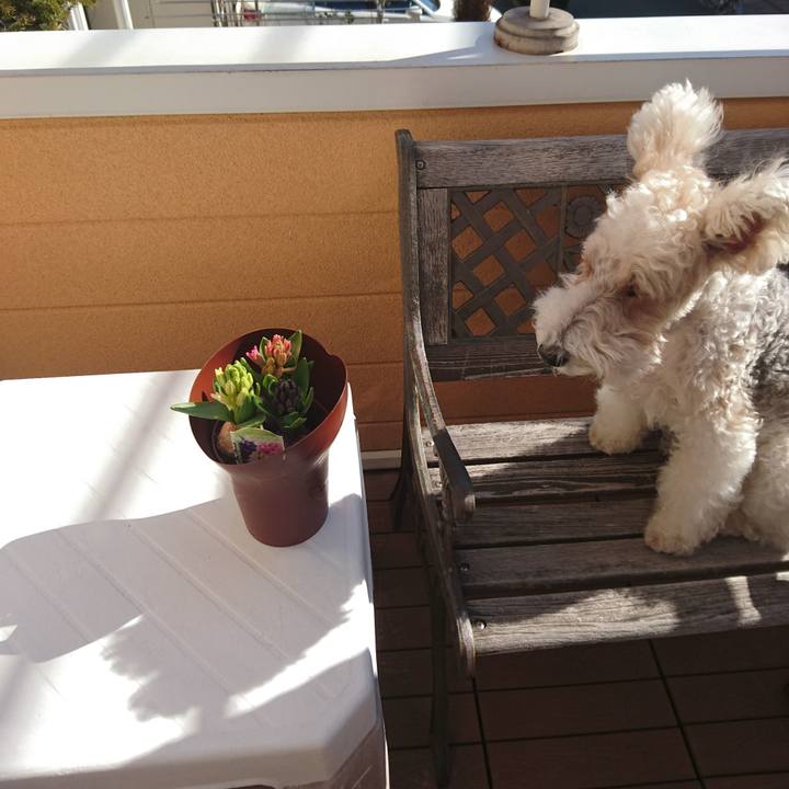 47cb34f8 9367 4c0f 8ed7 93212869ab7b 1518485082676