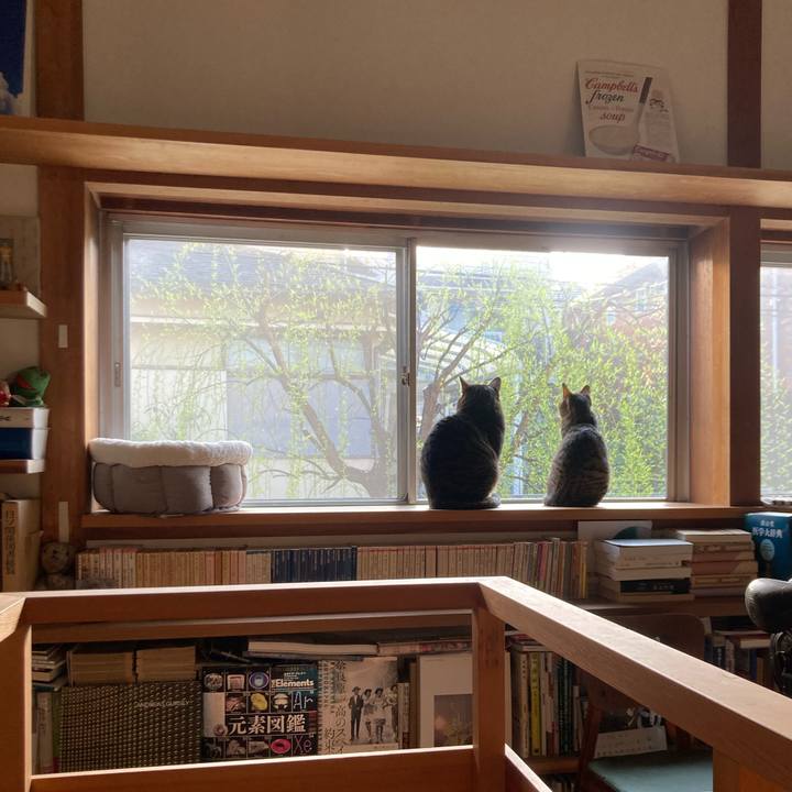 47cb4b87 0666 4414 a30a 1f2c95e321b5 1678921136549