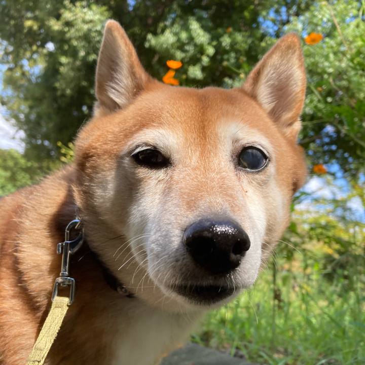 47cb51b3 6a04 4a85 b999 f90eeab6e1dd 1632487090235