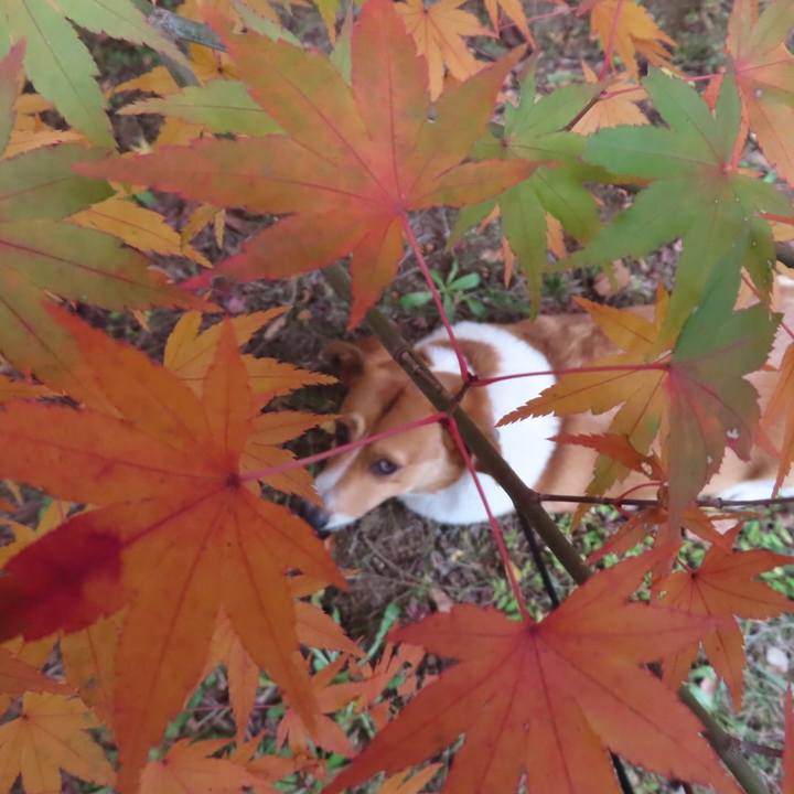 47cb6f96 00d4 462d be56 eca4807deaf7 1669077334467