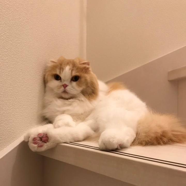 47cb7c43 e695 4d14 a6cd 4372c160baa9 1570082445313