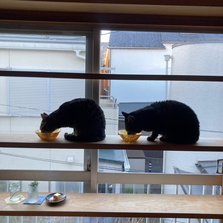 47cbe41b 101f 4d79 be07 321ac458f6c1 1737120993128