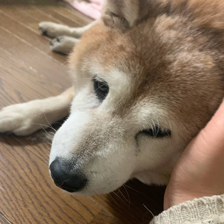 47cc1b9d c4c8 4c50 befb 1158622b1072 1609325180140