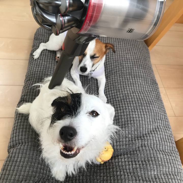 47cc1be2 91d8 449e 9153 ebd8b9e3682f 1535419635178