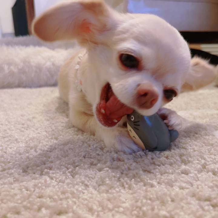 47cc3204 4caa 47db 83f8 60e5d9ba3c43 1757767287665