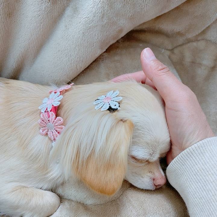 47cc3d9c aa8d 47c7 97de 27f94a8bb6a8 1613791743146