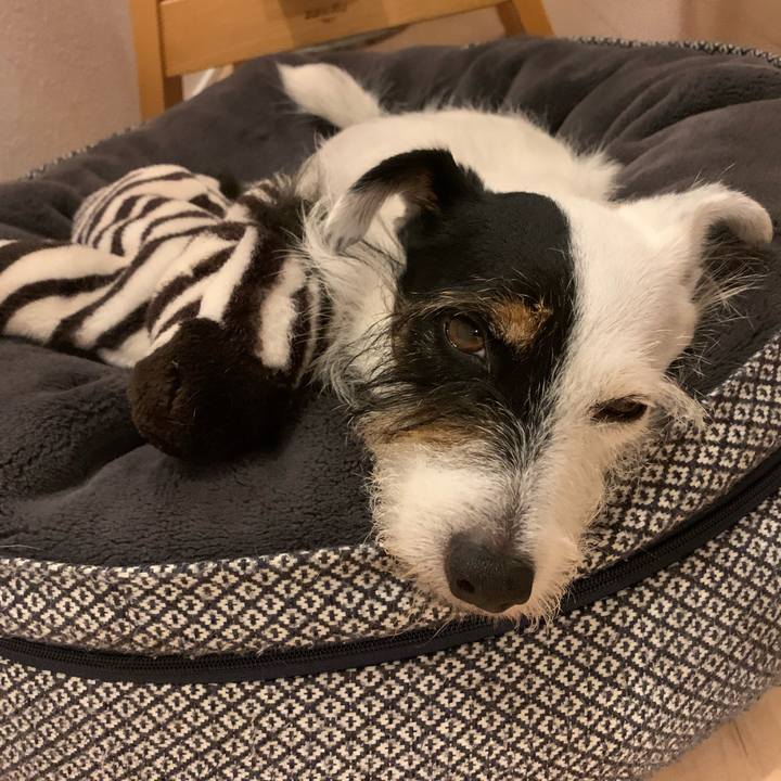 47cc48a3 5156 48e9 a8b2 aee261cfe624 1661426723857