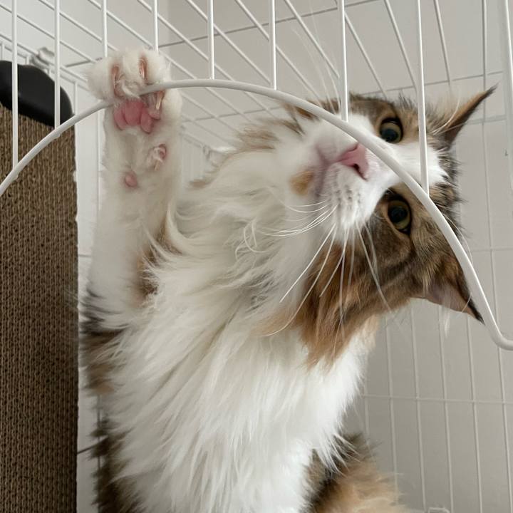 47cc52db a885 4808 9ff9 52c561abd07c 1668299373039