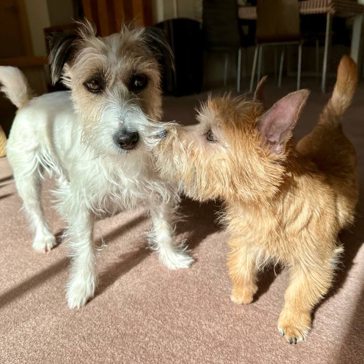 47cc6424 7752 4ea4 86a7 a8671913fecf 1705975397588