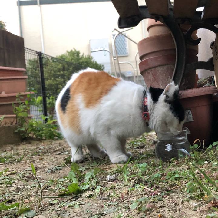 47cc93aa 45cf 453e a313 47a9f0aafa7c 1608071335626