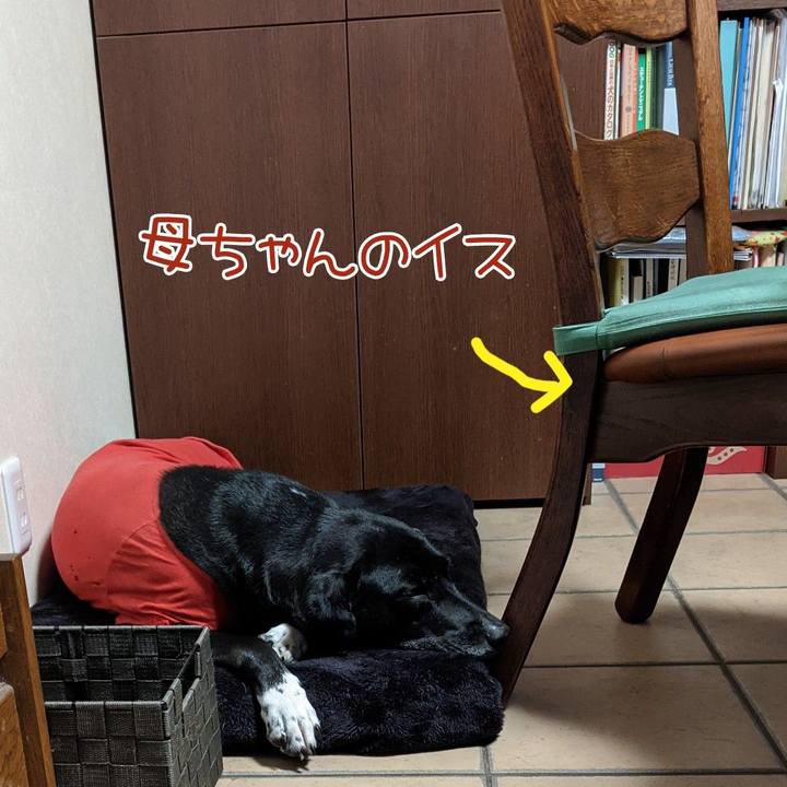 47ccaf9b 07ca 4c81 aed9 91f474ef969c 1638311160794