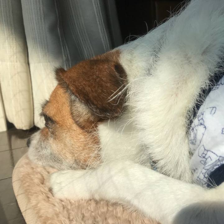 47ccda31 cd7a 4de7 8dac ddc4a09cc7b8 1535684740604