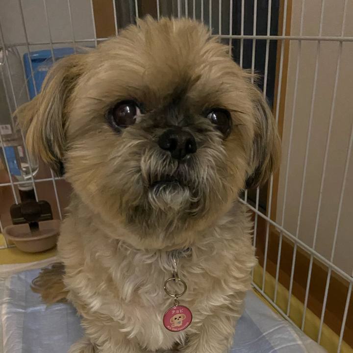 47cd2fe7 374e 47b4 8935 af19624ce468 1581210896658