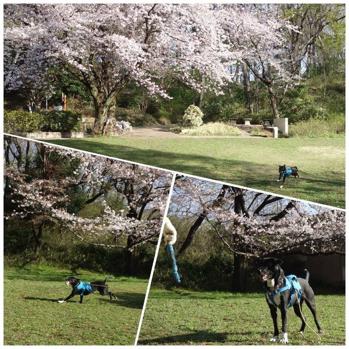 47cd59ec e891 415b 9a2c 2c4354009d3f 1616726038131