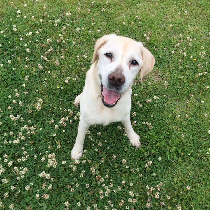 47cdb034 8f7a 427d 9a0e b9bc4d4143a2 1527657802497