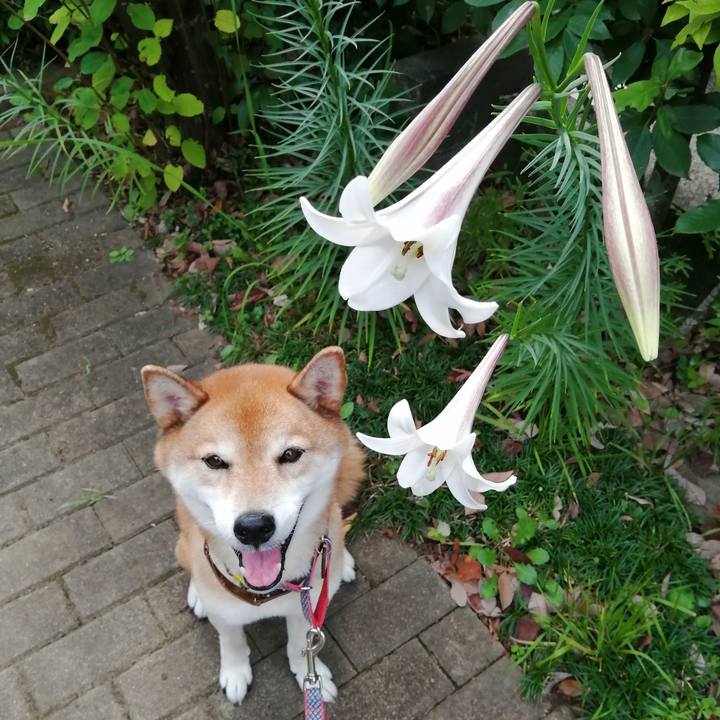 47cdf55d 9594 46b3 94b9 72e1532ccc23 1660954378583