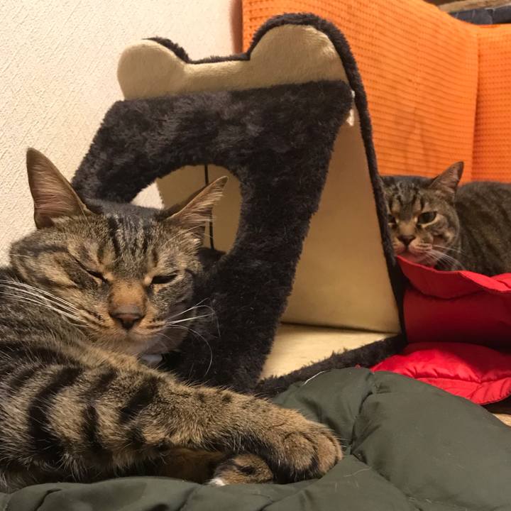 47ce79b9 bc6b 42a5 a85b 3a9cd344d8ed 1586102251252