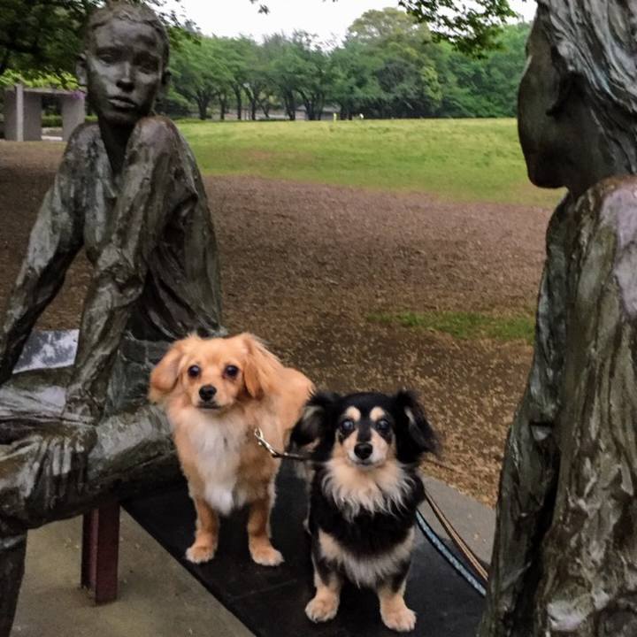 47ce9a30 c07a 412d be0e eacdb835b3e3 1556101434509