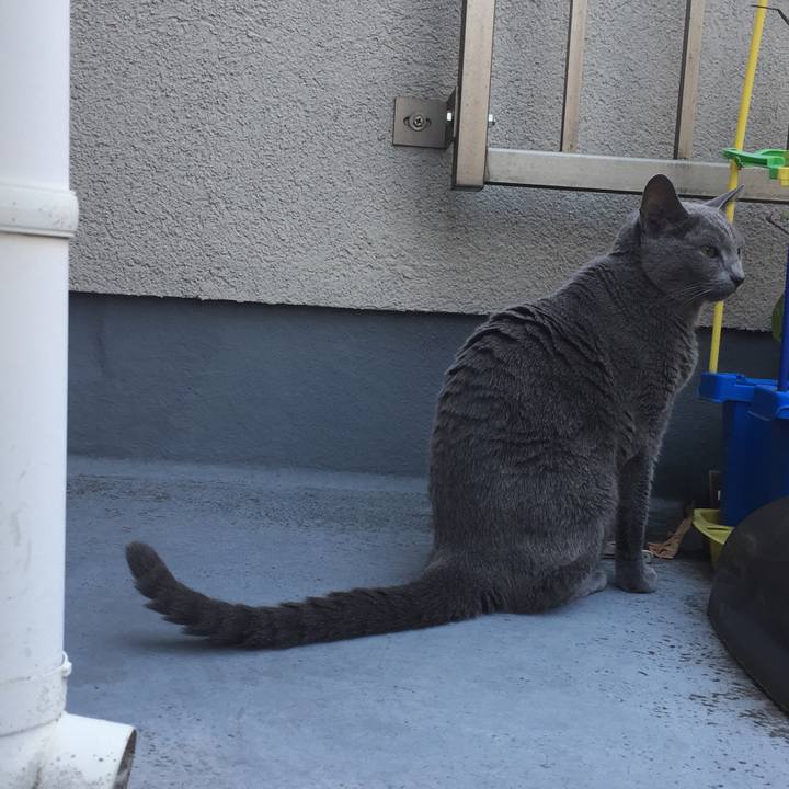 47cebbc4 e78c 4f50 ae8b 2d615f2e0909 1536795914125