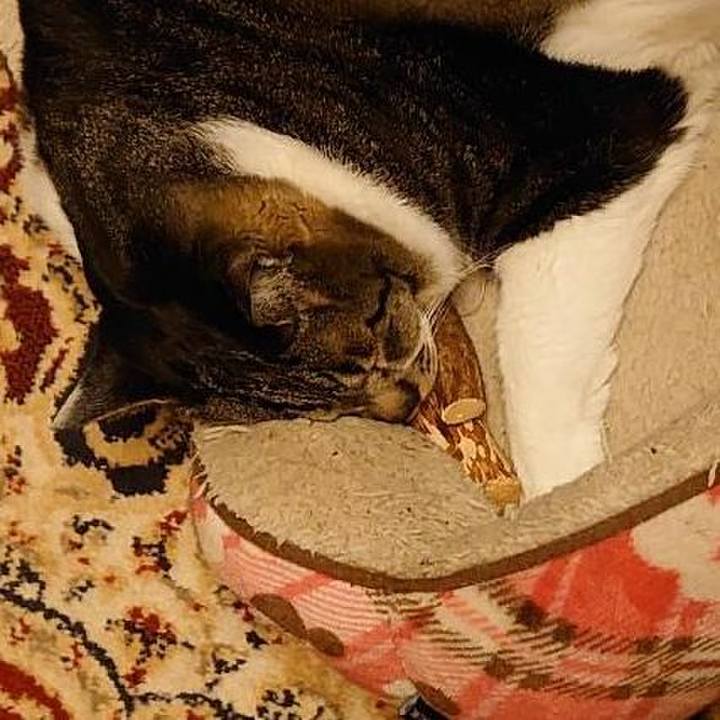 47cec17e 73ff 42bc 83b1 a628d8b41759 1591405089080