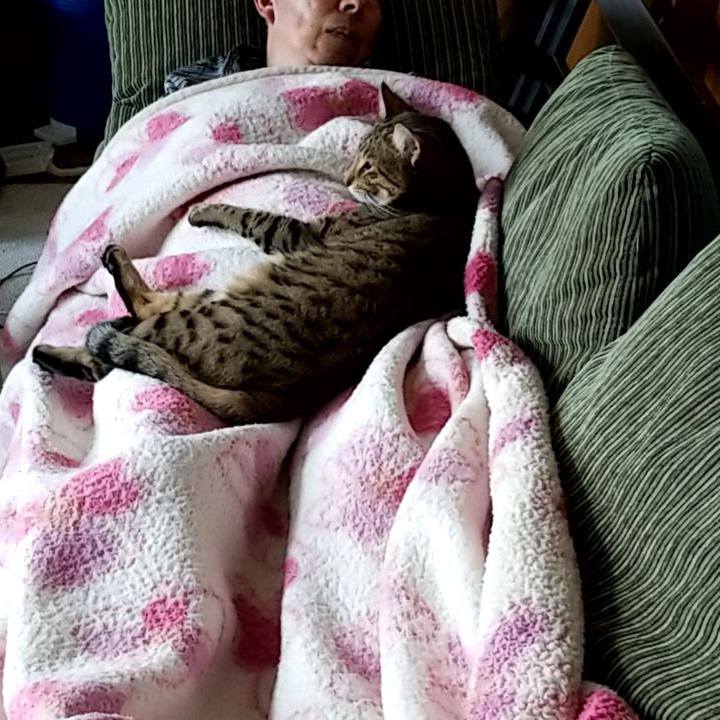 47cecd69 2c91 4072 925e a38b2e4f8768 1647182509661