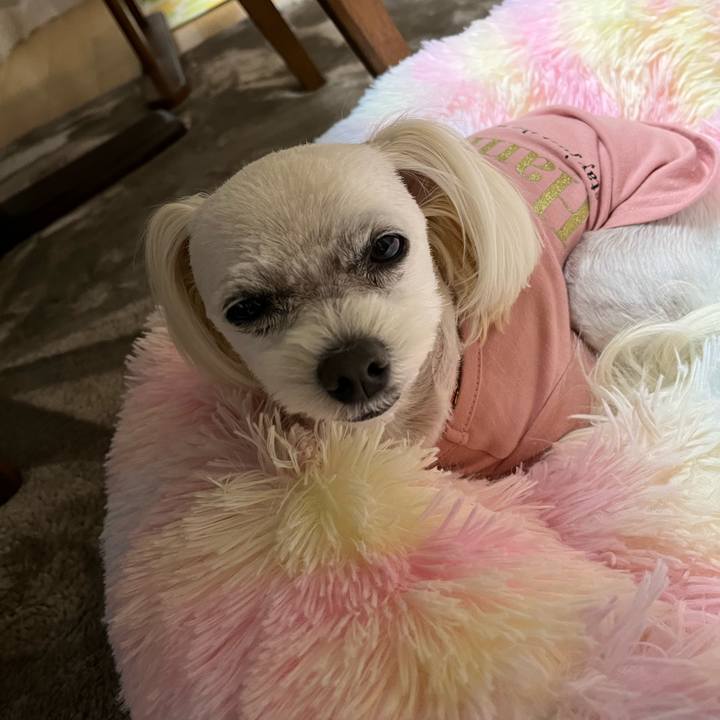 47cf07f1 c546 498f b430 3f3f101c959d 1682248064390