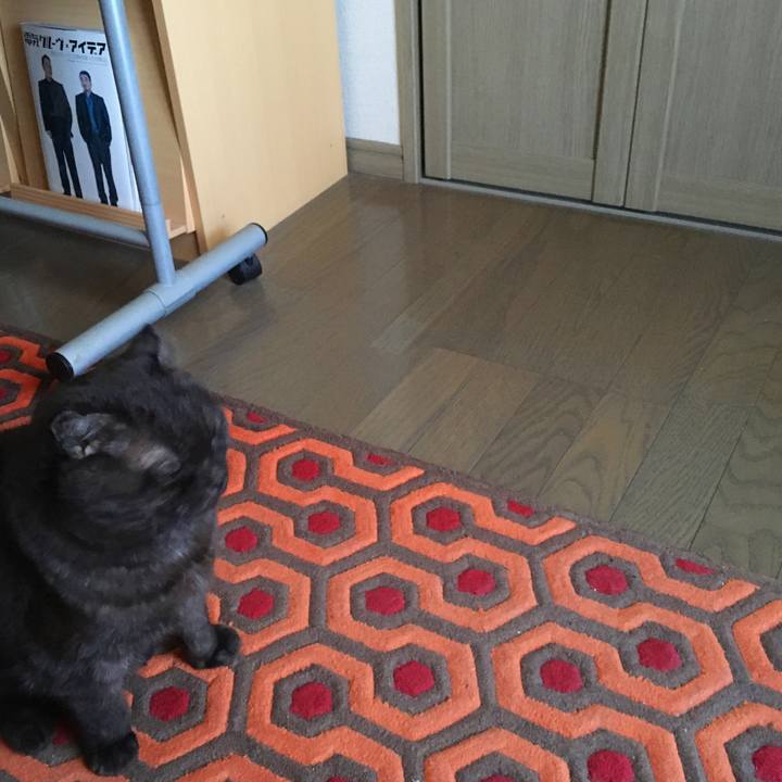 47cf0df0 45cc 4f70 8906 e568a59d84c1 1573946366056