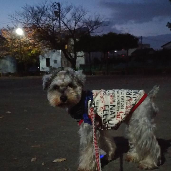 47cf35fe 18f4 406d 8488 854249b31609 1637013888707