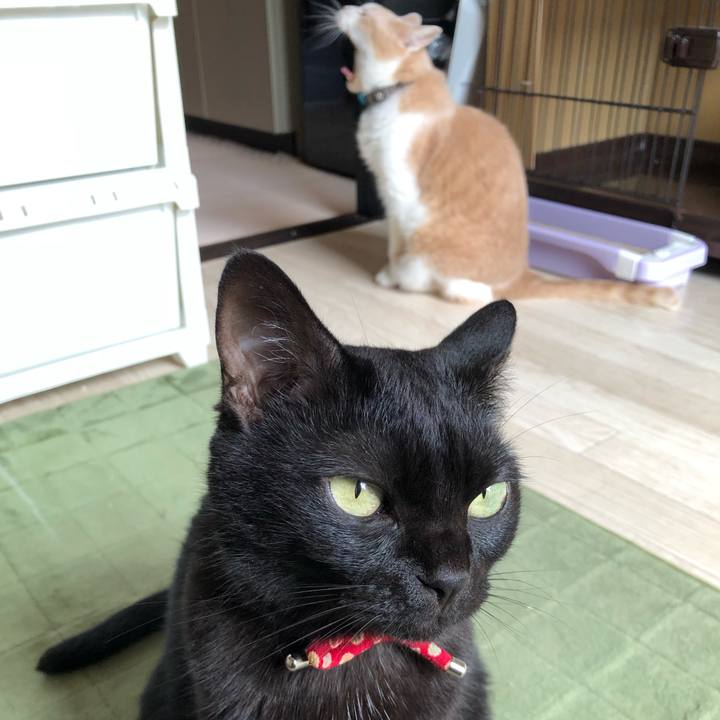 47cf5937 8366 4325 8679 02b13b407fe1 1629845282023