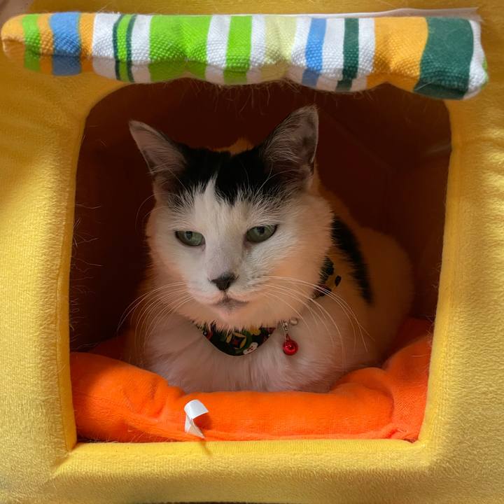 47cfbf2b e2eb 4823 acd9 a639d2fb6a95 1646658021695