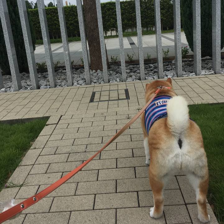 47cfe96c 4d6c 47fb 94ea 0e12c1c82a68 1566186310410