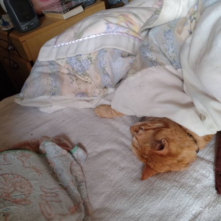 47cff63d 7794 4e07 ba13 003abfea33ca 1682896315394