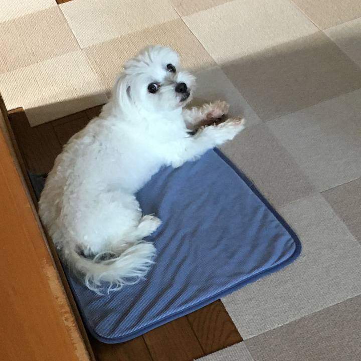 47d0653c 6021 42ca b929 958549fcb0dc 1593679555896