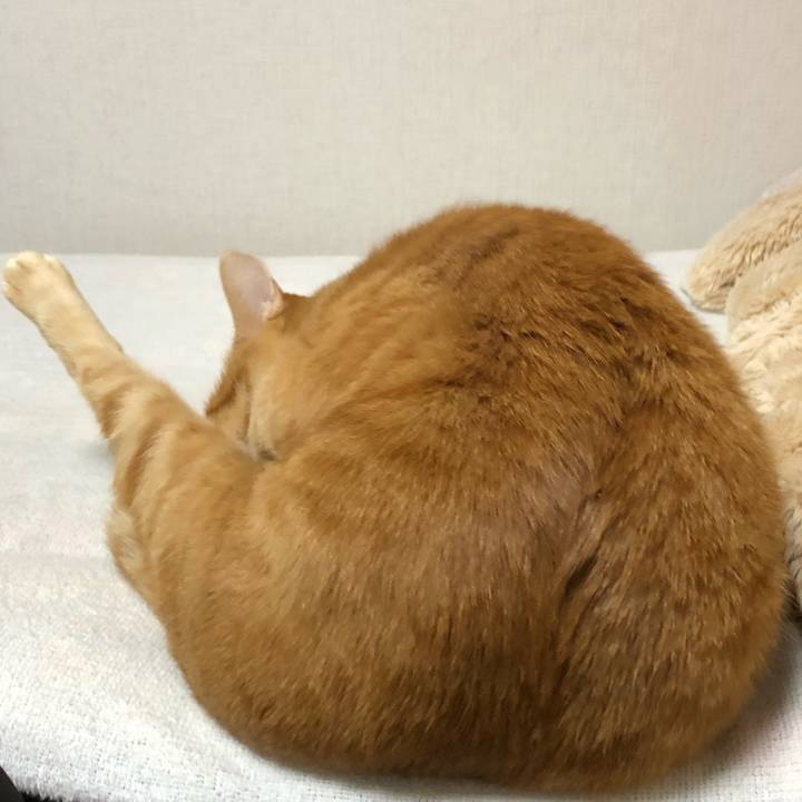 47d065c2 6a5e 40d8 aad4 24bf67172cae 1605011995980