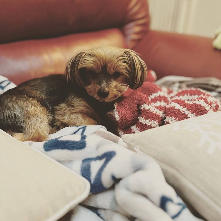 47d07bce b173 4055 8d27 02823ed6f8f2 1665186618517