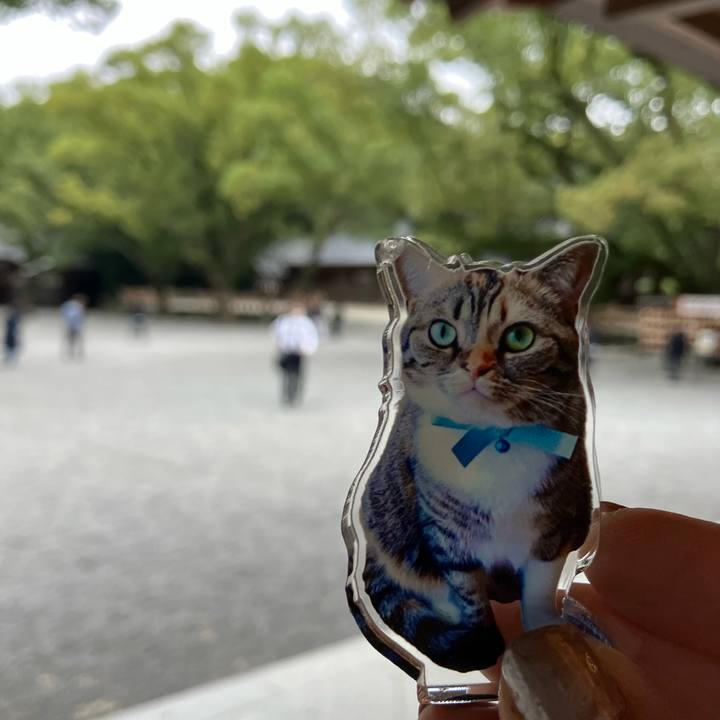 47d07c92 1c25 4461 946c 51f68df6b6f8 1762323058076