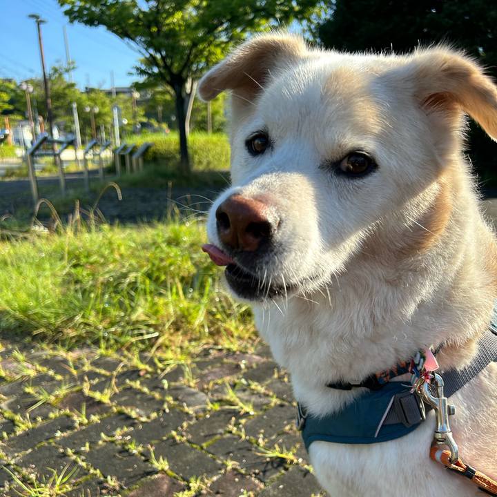 47d07c9e 11ec 417e aa27 37ab94c71ece 1718840545874