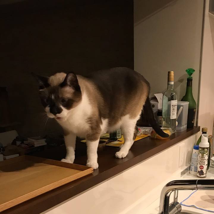 47d08721 b252 4968 b567 5170b2c21992 1575949998361