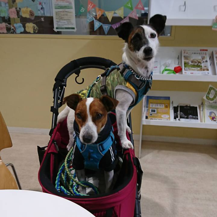 47d09d13 9593 42e9 847f 0f85267cae68 1603968222512