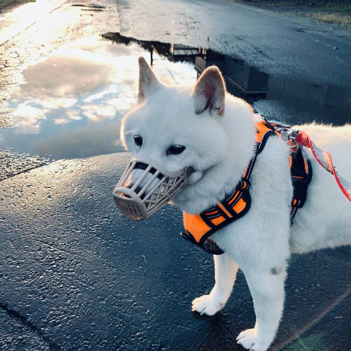 47d0cf30 ca2d 4110 a88e d066f52affdd 1634852880579