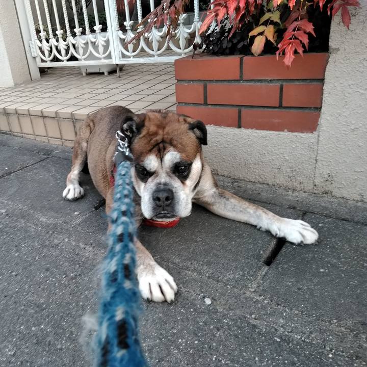 47d0d167 4241 4a7d a732 40b0e4b56dc6 1551872302725