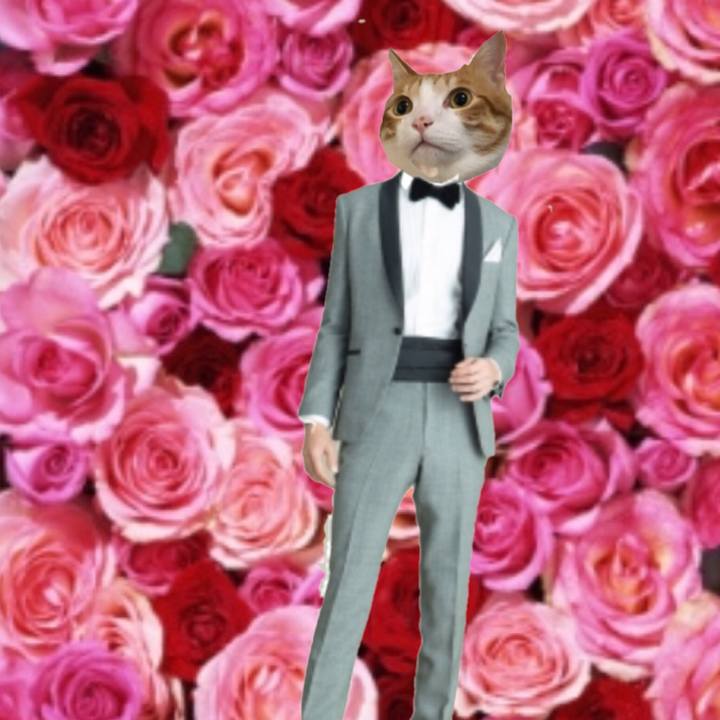 47d0ebbe b5f0 4608 a4a7 cad51d6efcd5 1568471901157