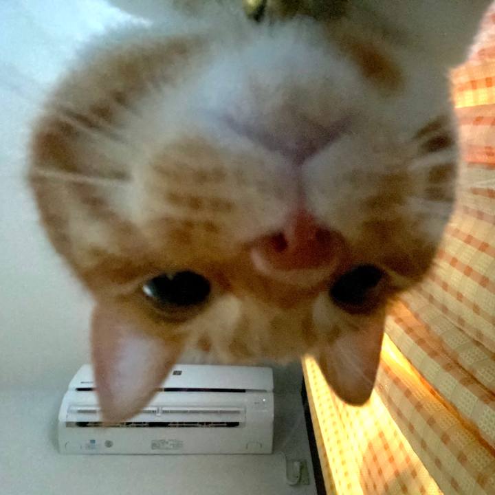 47d0f8f6 ccad 4629 9022 336c203e5aa9 1597909301661