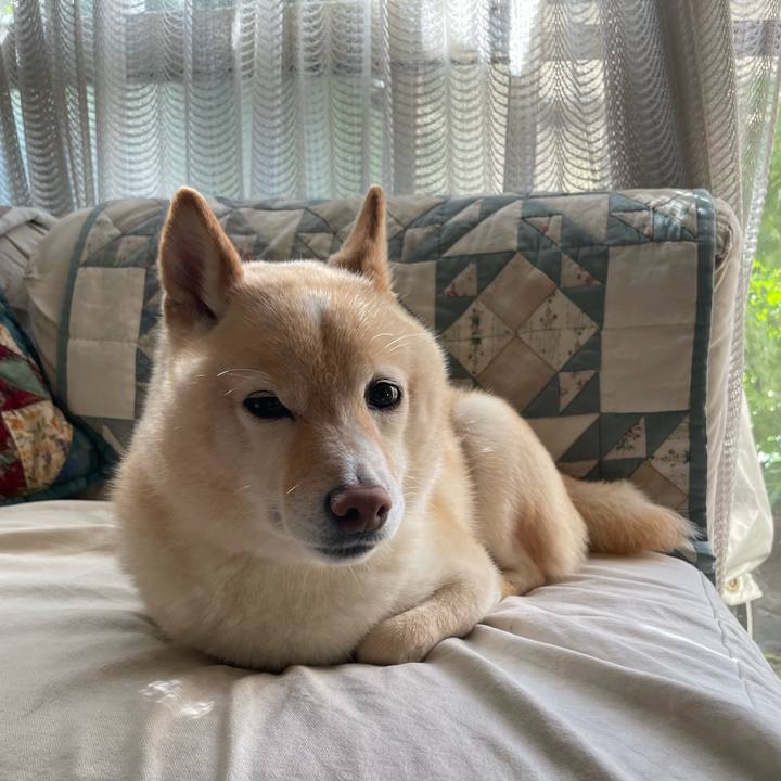 47d126a6 ebcd 4d04 9ce0 2ae8e8fd00a1 1746661053765